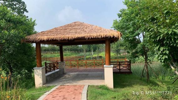 Yuhu Wetland Park