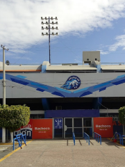 Estadio Miguel Alemán Valdés