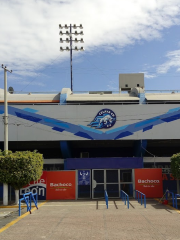Miguel Alemán Valdez Stadium