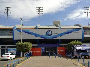 Miguel Alemán Valdez Stadium