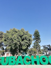 Subachoque Main Park