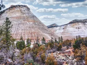 Checkerboard Mesa