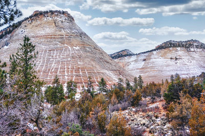 Checkerboard Mesa