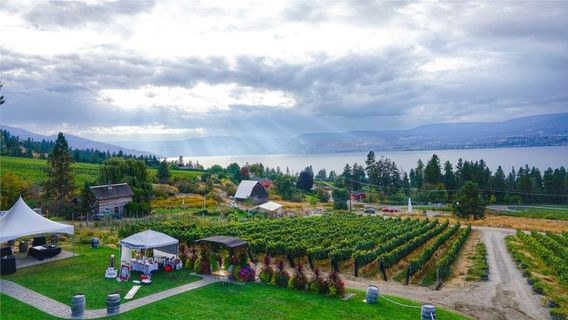 Summerhill Pyramid Winery