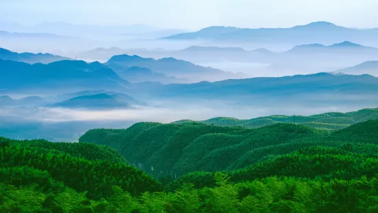 Bowang Mountain