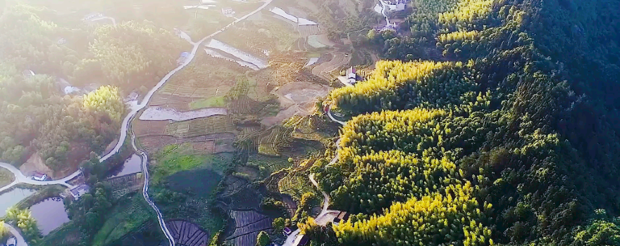 da bie shan lang gu