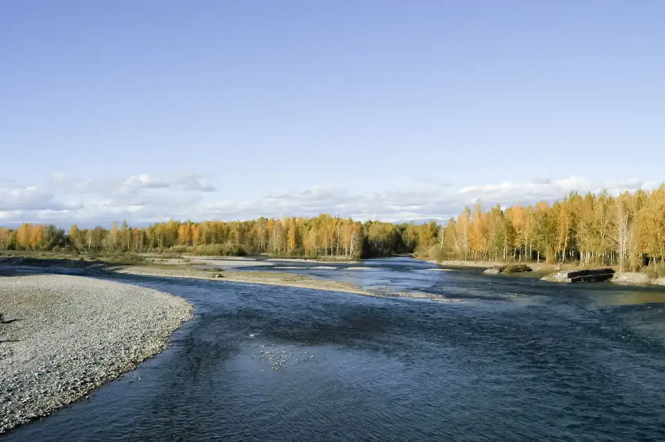 4_Habahe Birch Forest