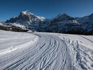 Skiing in Grindelwald