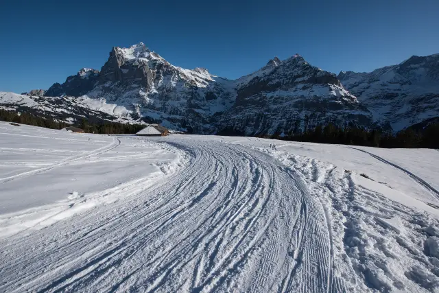 Skiing in Grindelwald
