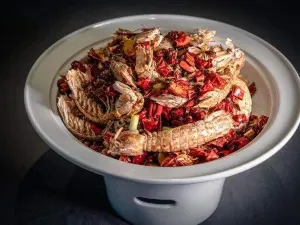 FIVE SEASON FISHING PORT