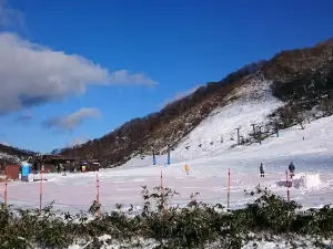 Kagamiganaru Ski Area