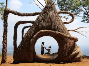 Hutan Pinus Pengger