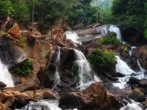 Maredumilli Water Falls