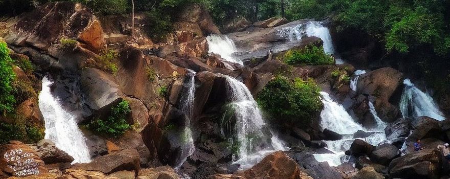 Maredumilli Water Falls
