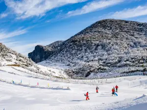 Chongqingjinfu Mountain Ski Field