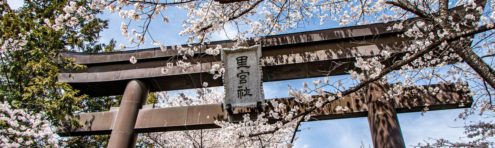 YamanashiBoat Experiences