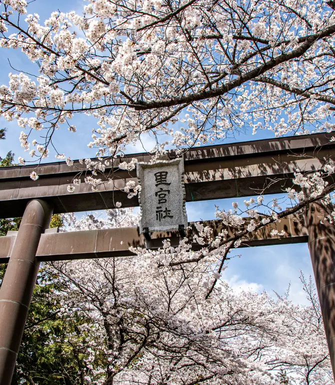 Yamanashi