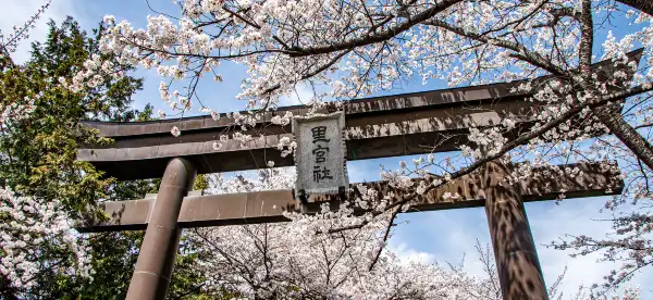 鄰近JR山梨市站的酒店