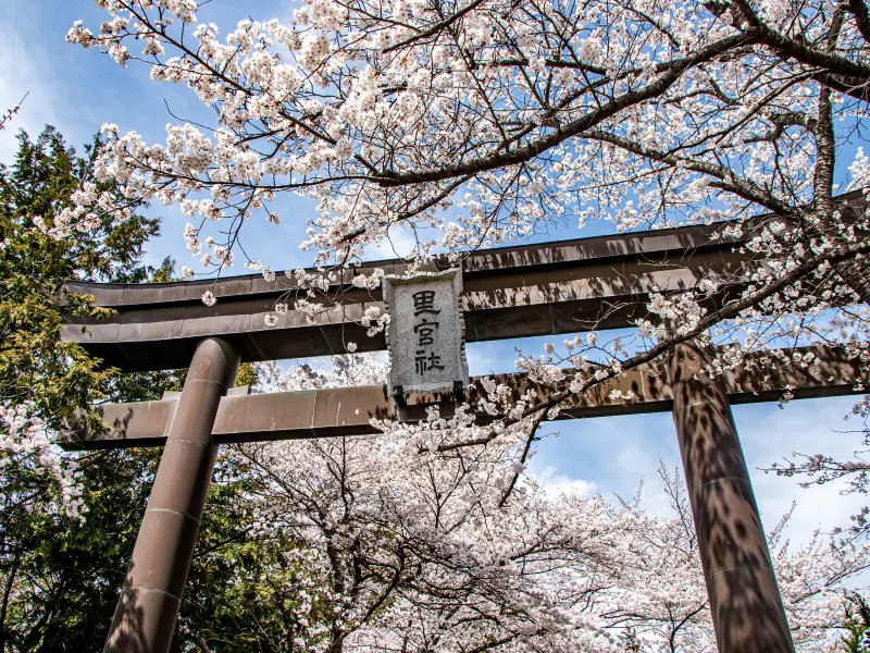 山梨市