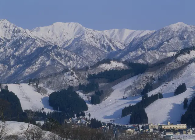 新潟縣滑雪