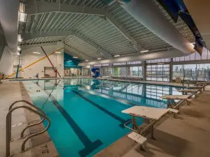 Battle Mountain Pool