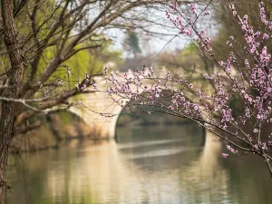 宋夾城考古遺址公園
