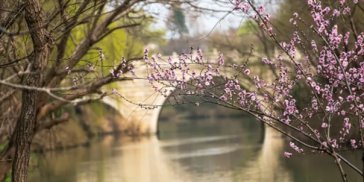宋夾城考古遺址公園