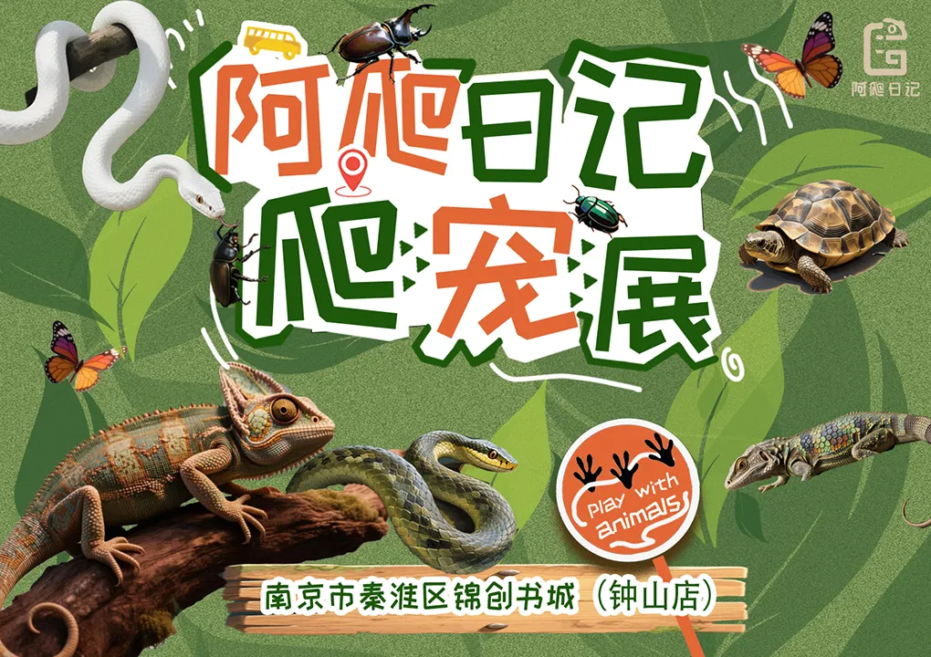 《阿爬日記》可觸碰活體爬寵展 | 南京