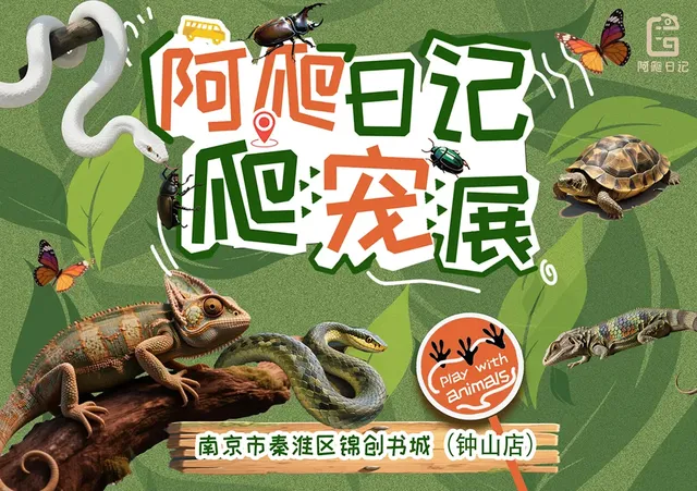 《阿爬日記》可觸碰活體爬寵展 | 南京