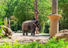 海拉布倫動物園