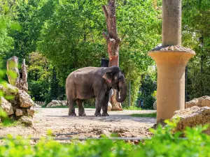 Hellabrunn Zoo