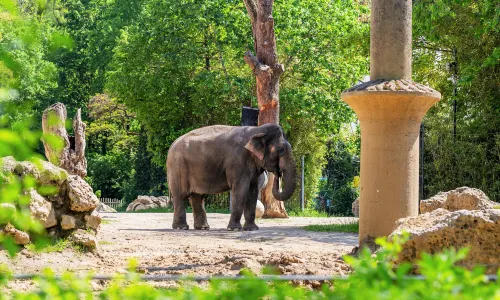 Hellabrunn Zoo
