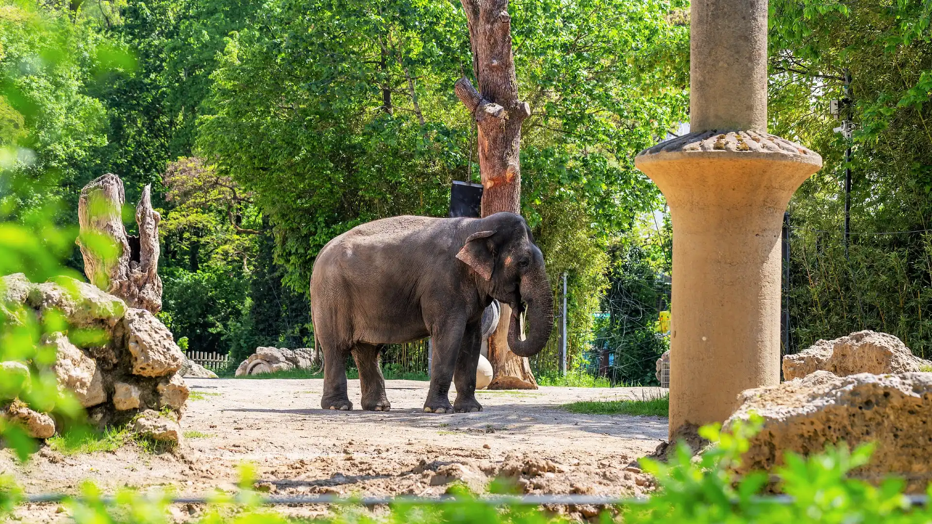ヘラブルン動物園周辺のホテル