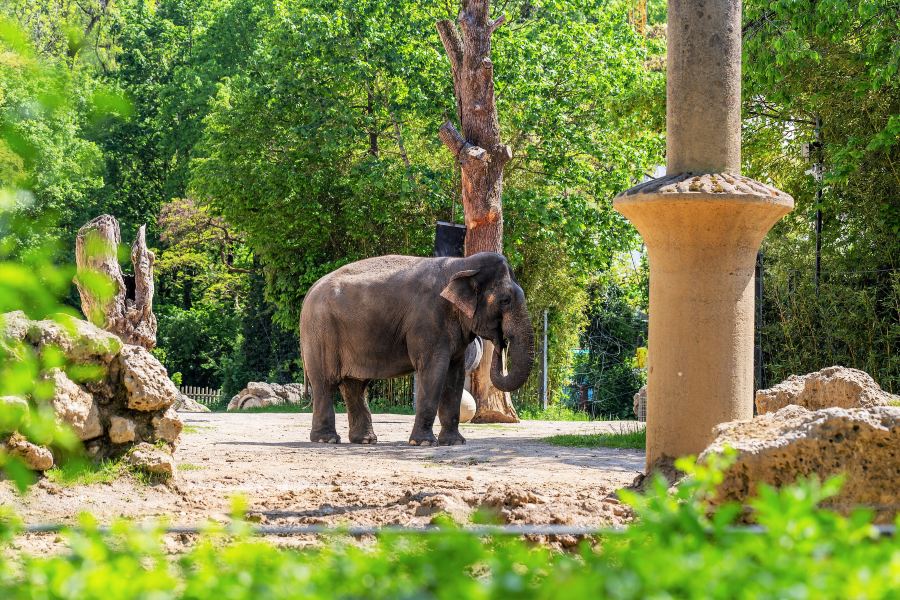 海拉布倫動物園