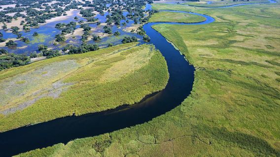 Okavango River