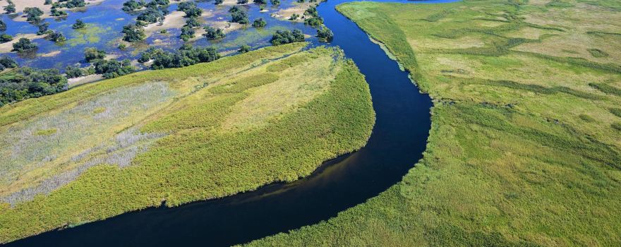 Okavango River