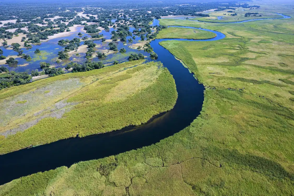 오카방고강 주변 호텔