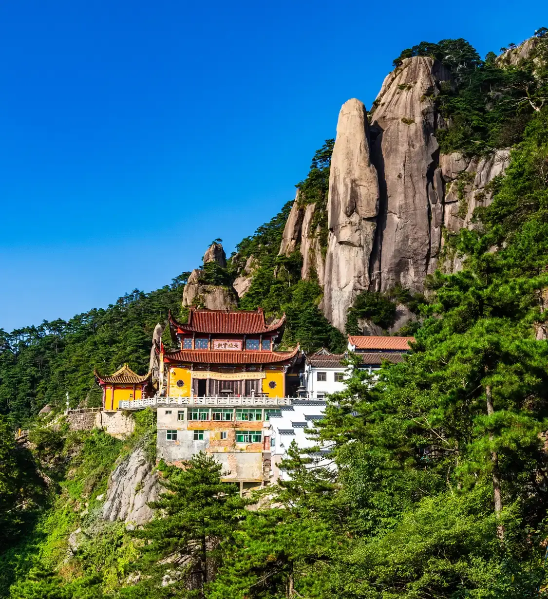 고배경대 주변 호텔