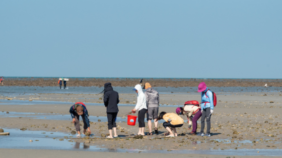 Beach Treasure Hunting in Wanning