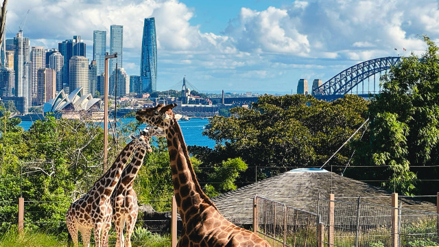 Taronga Zoo Sydney