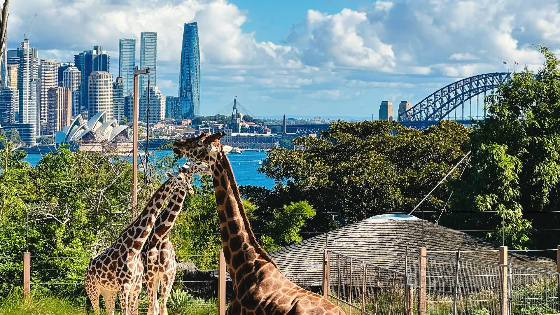 Hotels near Taronga Zoo Sydney