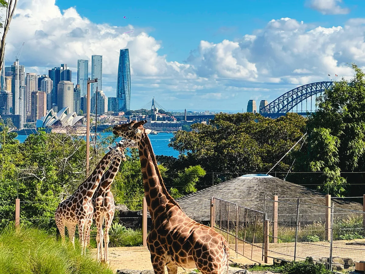 Taronga Zoo Sydney