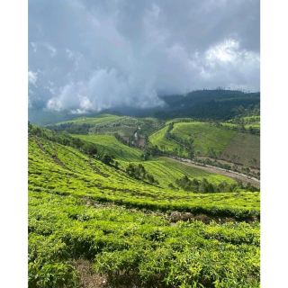 Sakub Mountain is located at the height of 2080 meters above the sea level. It is the home of a favorite tourist spot called “Puncak Sakub”, where tourists can find several viewing posts to enjoy sightseeing and photography. From those spots, you can see a beautiful panorama of surrounding scenery including Kaligua Tea Plantation and nearby hills. Such green landscape is similar to a giant rug somehow. If you come in the morning, you have the chance to see a thick fog that surrounds the site! Plus, the air feels quite refreshing up there.
Even though it takes some efforts to get to the top of it, the reward is quite satisfying. 
#summervacation#hikingtrails#urbanexplorer