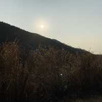 #親子游#馬鞍山郊野公園 | 第一次三姐妹一齊行山