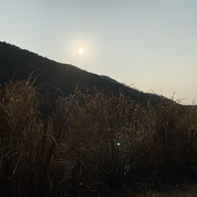 #親子游#馬鞍山郊野公園 | 第一次三姐妹一齊行山