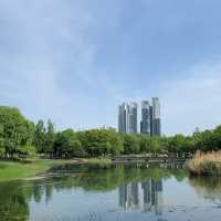 튤립이 만개했던 서울숲 산책