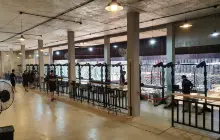 โกลด์ชูตเตอร์คลับ