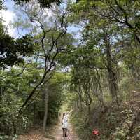 親子活動好去處:坐纜車+輕鬆行山