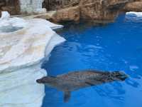 【福井】越前松島水族館