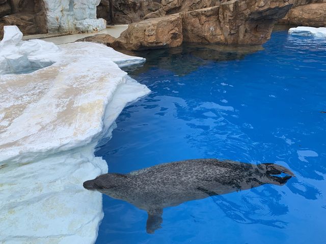 【福井】越前松島水族館